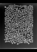 Análise de sementes