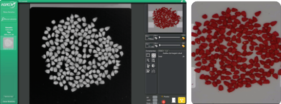 Tecnologia avançada